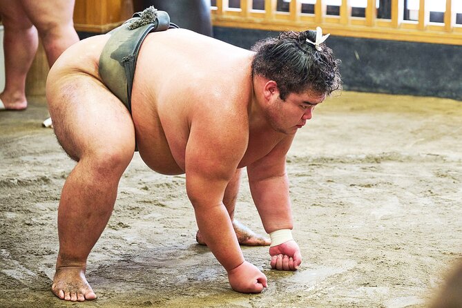 Tokyo: Sumo Morning Practice Viewing Tour at a Real Stable - Photos with wrestlers, handled with respect