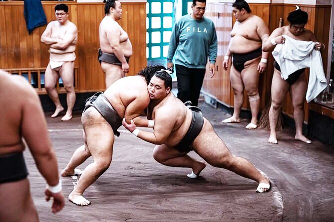 Tokyo: Sumo Morning Practice Viewing Tour at a Real Stable - Is the $118.92 price a fair deal?