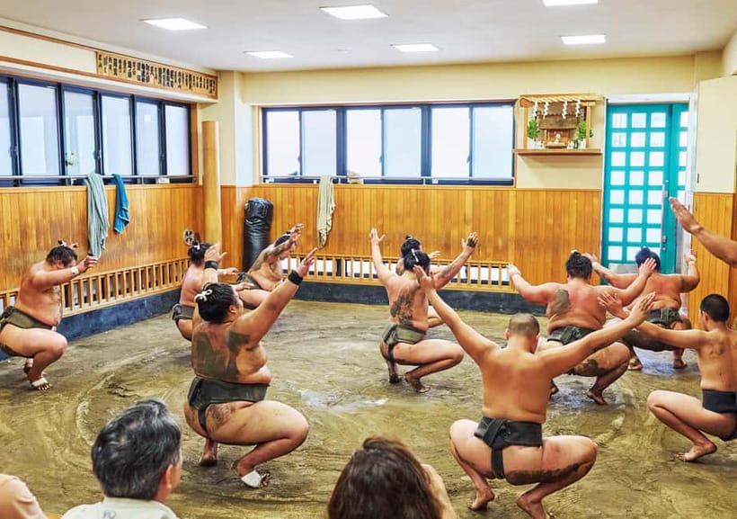 Tokyo: Sumo Morning Practice Viewing Tour at a Real Stable - Who will enjoy this most