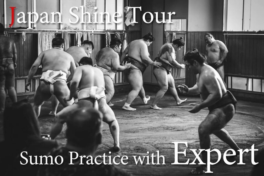 Tokyo: Sumo Morning Practice with journalists. Not fake show - Key points to know before you book