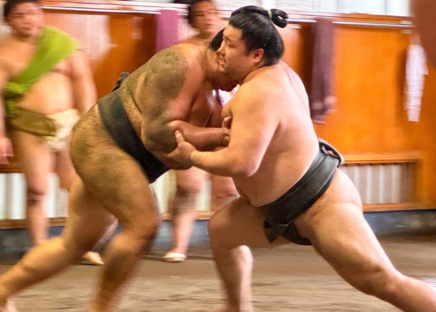 Tokyo: Sumo Morning Practice with journalists. Not fake show - Why this feels different from a sumo show