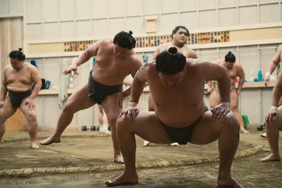 Tokyo Sumo Morning Practice: Witness the Life of a Wrestler - Key points to know before you book