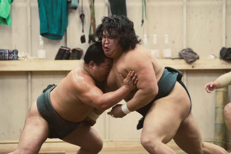 Tokyo Sumo Morning Practice: Witness the Life of a Wrestler - Entering a working sumo stable in Tokyo