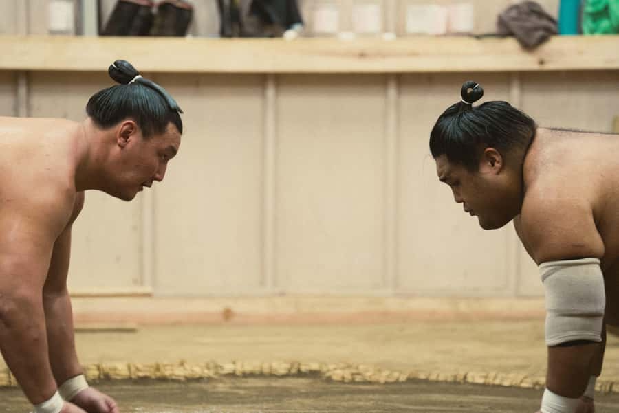 Tokyo Sumo Morning Practice: Witness the Life of a Wrestler - Photo opportunities after practice