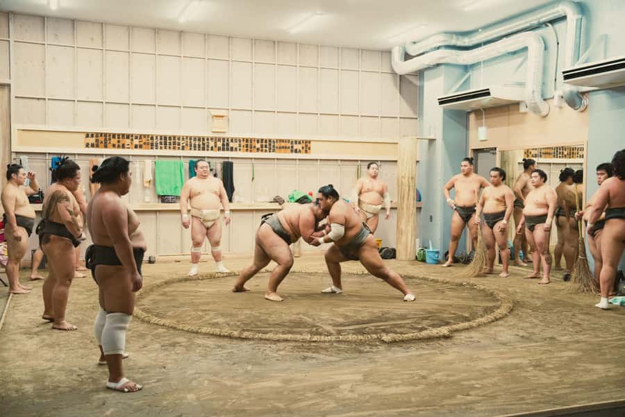 Tokyo Sumo Morning Practice: Witness the Life of a Wrestler - Who will enjoy this morning most