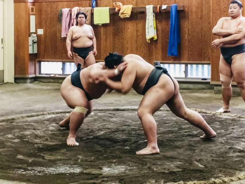 Tokyo: Sumo Morning Training Visit - Key points before you book
