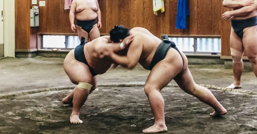 Tokyo: Sumo Morning Training Visit - Inside a Tokyo sumo stable