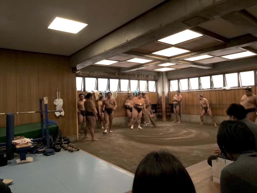 Tokyo: Sumo Practice Tour with Ring-Side Seat and Photoshoot - Watching the Morning Training