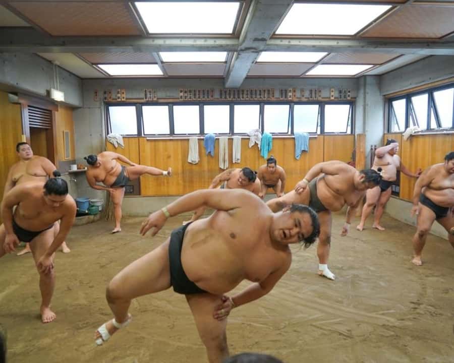 Tokyo: Sumo Practice Tour with Ring-Side Seat and Photoshoot - The Guide Makes the Difference