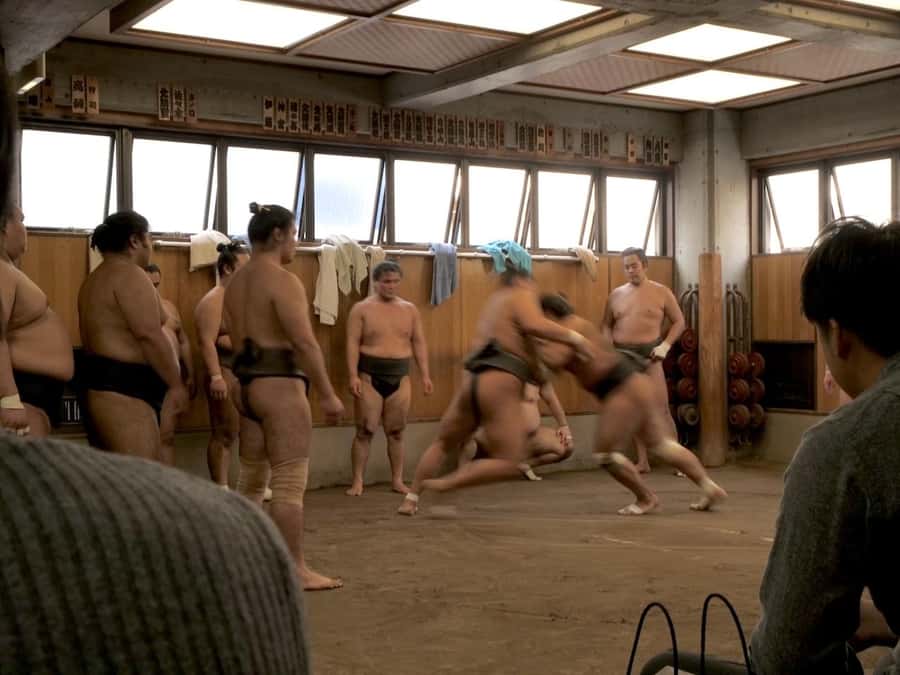 Tokyo: Sumo Practice Tour with Ring-Side Seat and Photoshoot - What Two Hours Feels Like