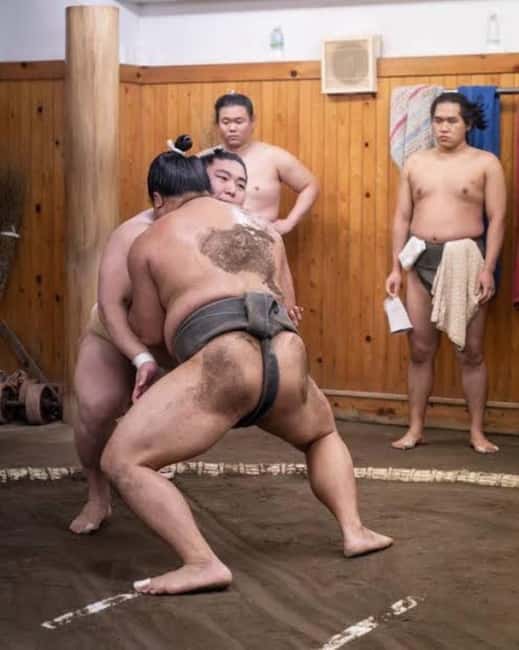 Tokyo: Sumo Show and Experience in Shinjuku - Why this Shinjuku sumo show works for first-timers
