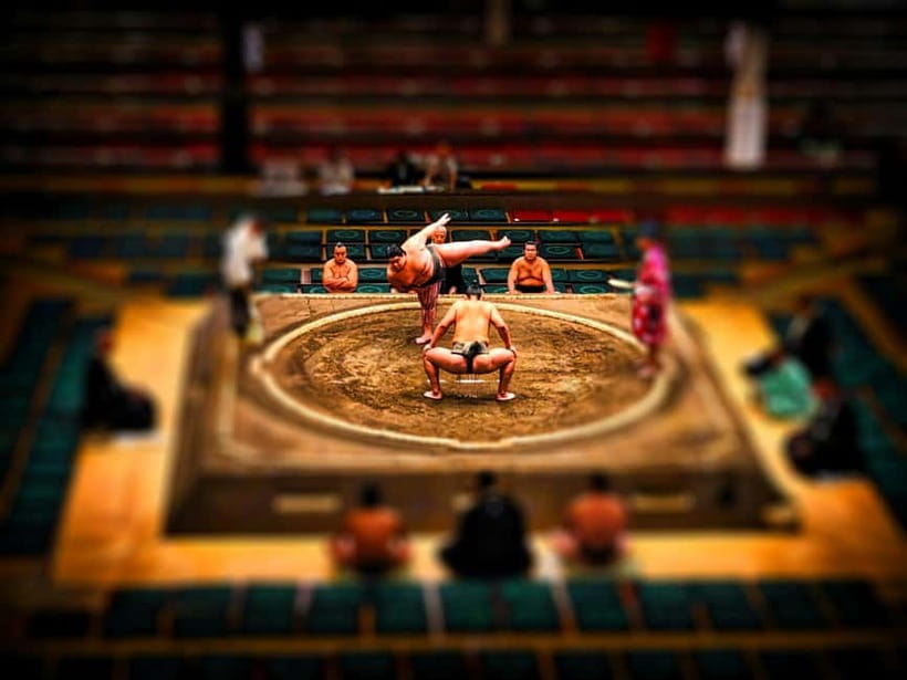 Tokyo: Sumo Tournament with Guide & Assigned Reserved Seat - Should you book the Tokyo sumo tournament tour?