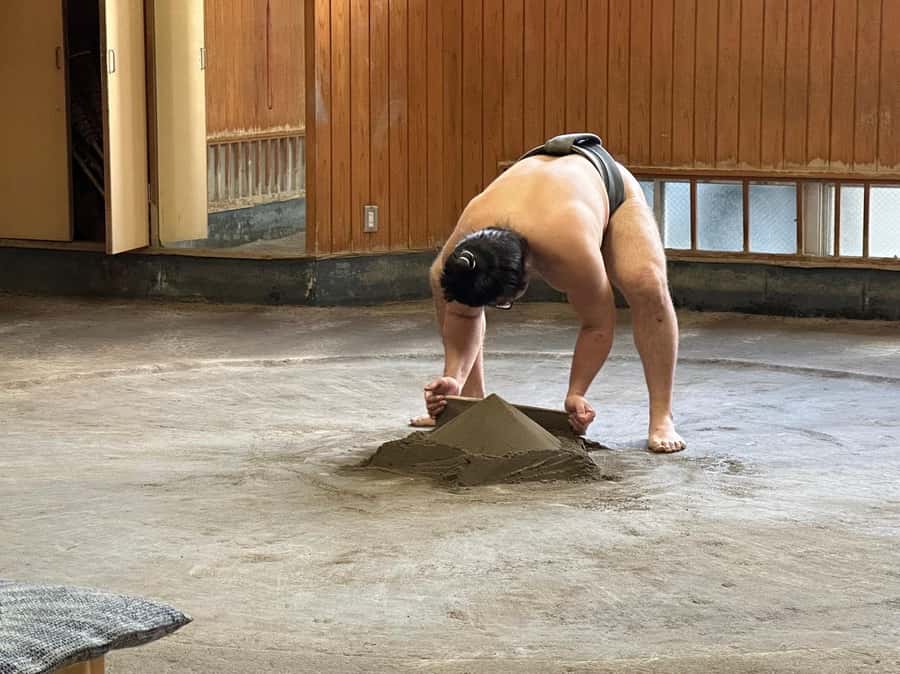 Tokyo: Visit Sumo Morning Practice with English Guide - Practical details that make the morning smoother