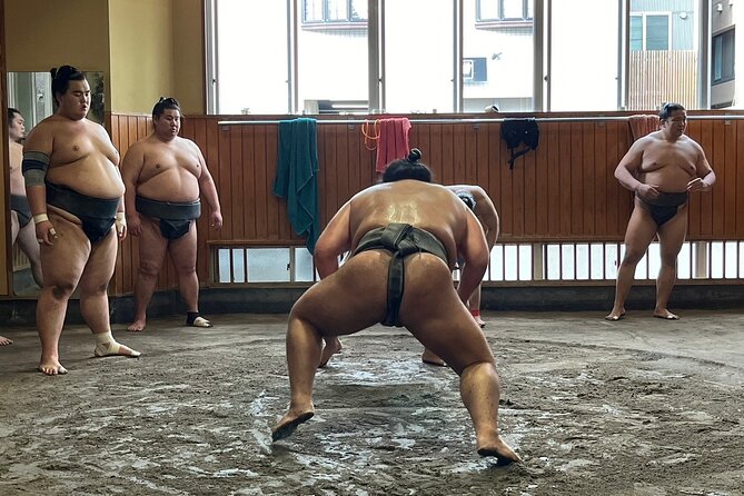 Tokyo: Visit Sumo Morning Practice with English Guide - Why this sumo practice feels different from a tournament