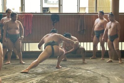 Visit Sumo Morning Practice with English Guide