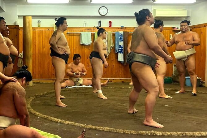 Tokyo Walking Tour : Sumo, Sushi, Tea, Temples and Tokyo Tower - A full Tokyo day built around contrasts