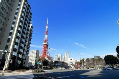 Tokyo Walking Tour : Sumo, Sushi, Tea, Temples and Tokyo Tower