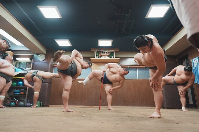 Unique Afternoon Live Sumo training tour in Tokyo - Key points to know before booking