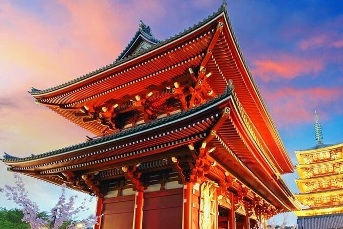 Unique Afternoon Live Sumo training tour in Tokyo - Is $137.71 a fair price?